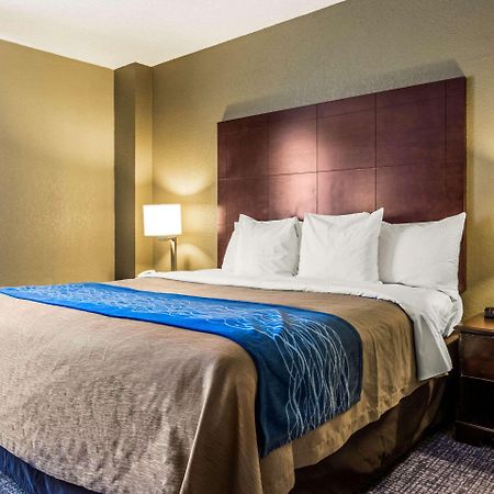 Comfort Inn Atlanta Downtown South Экстерьер фото
