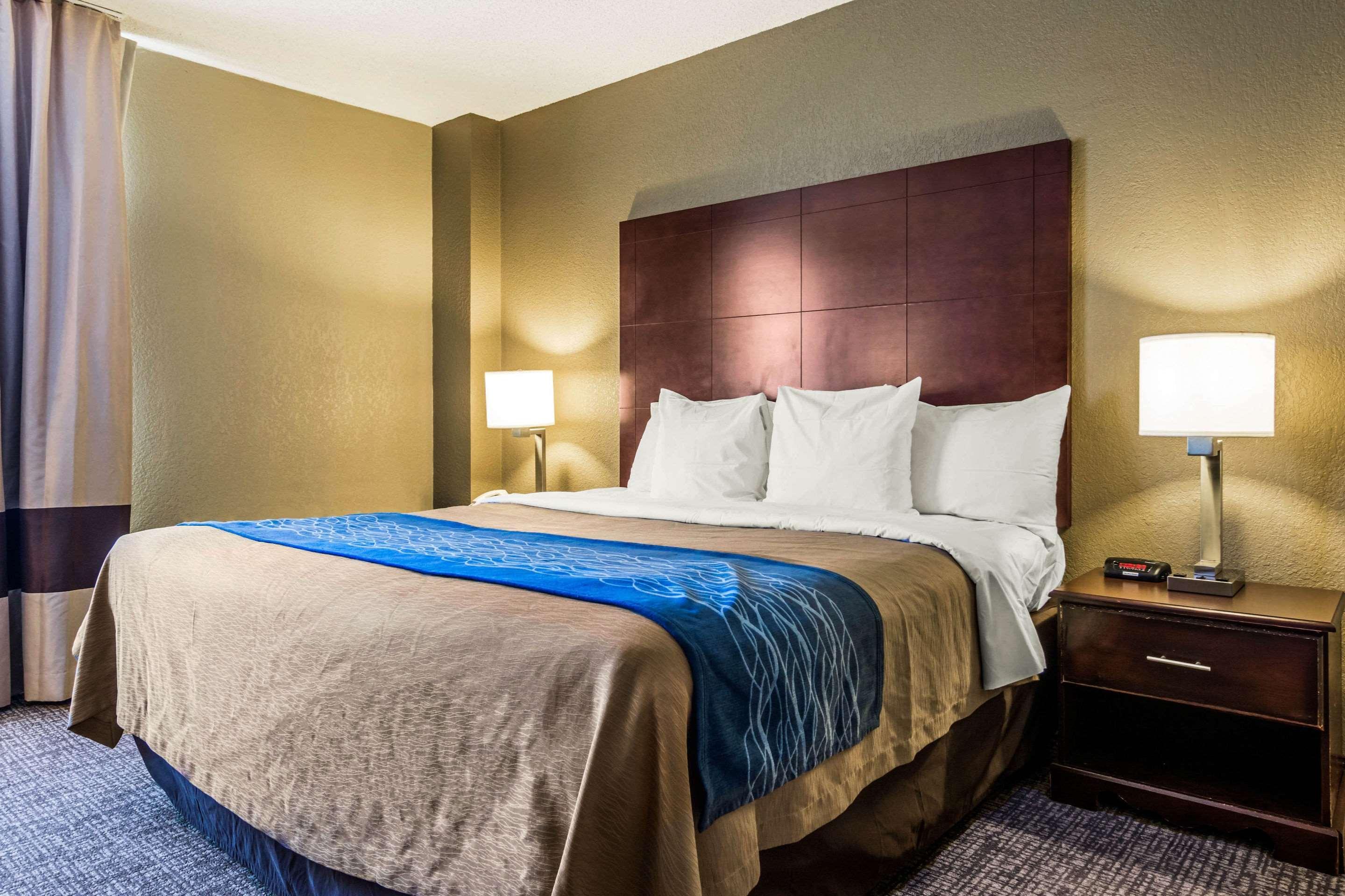 Comfort Inn Atlanta Downtown South Экстерьер фото