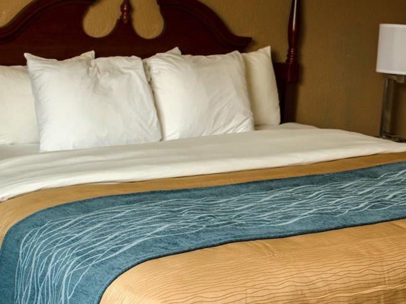 Comfort Inn Atlanta Downtown South Экстерьер фото