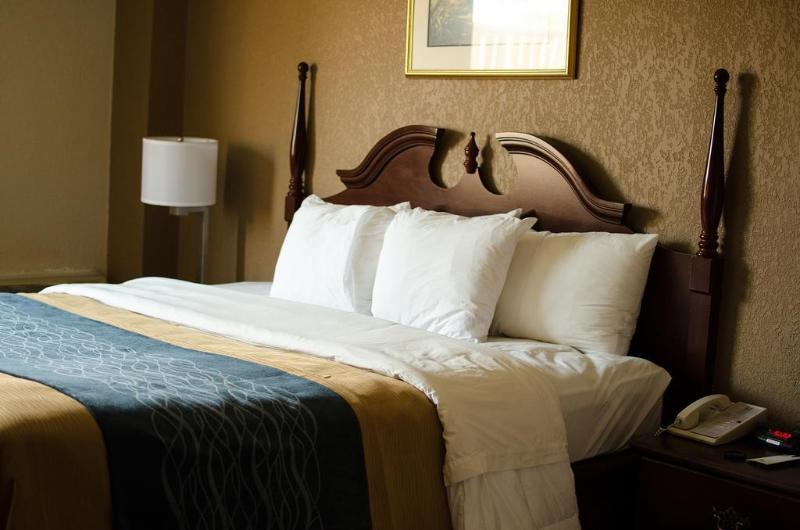 Comfort Inn Atlanta Downtown South Экстерьер фото
