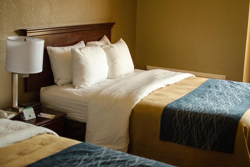 Comfort Inn Atlanta Downtown South Экстерьер фото